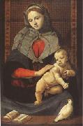 Piero di Cosimo The Virgin and Child with a Dove (mk05) oil painting on canvas